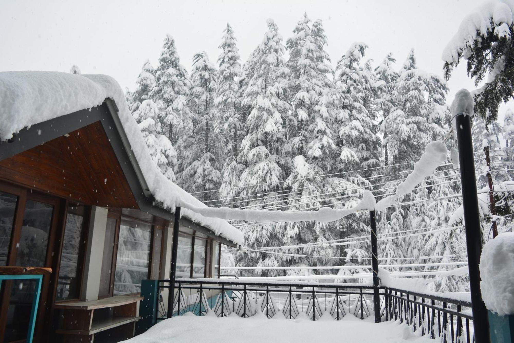 The Neelgiris Hotel มะนาลี ภายนอก รูปภาพ